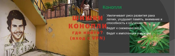 метадон Няндома