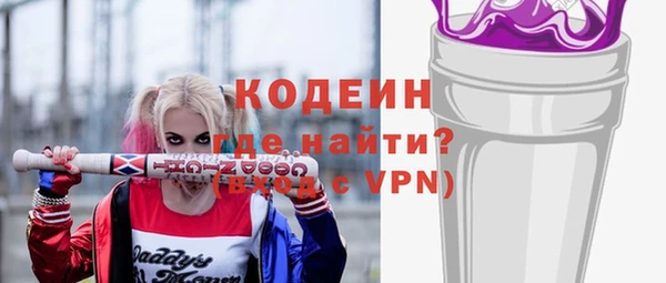 метадон Няндома