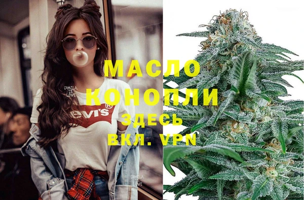 метадон Няндома