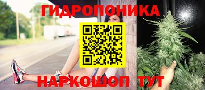 гидра Ипатово