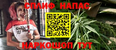 винт Гатчина