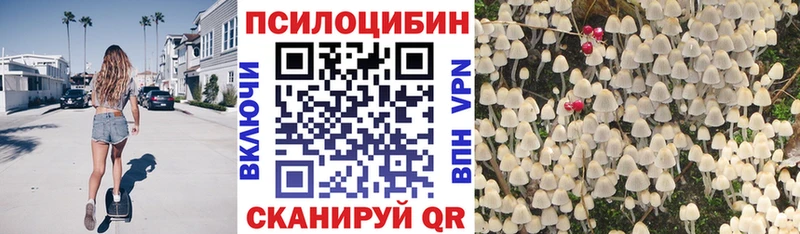 где найти Знаменск Галлюциногенные грибы GOLDEN TEACHER