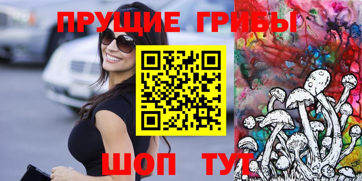 Псилоцибиновые грибы прущие грибы  Знаменск  Галлюциногенные грибы GOLDEN TEACHER 