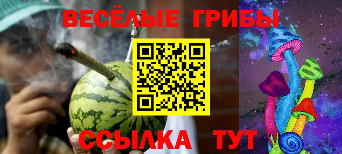 Галлюциногенные грибы мухоморы  Псилоцибиновые грибы MAGIC MUSHROOMS  Вход с VPN  Знаменск 
