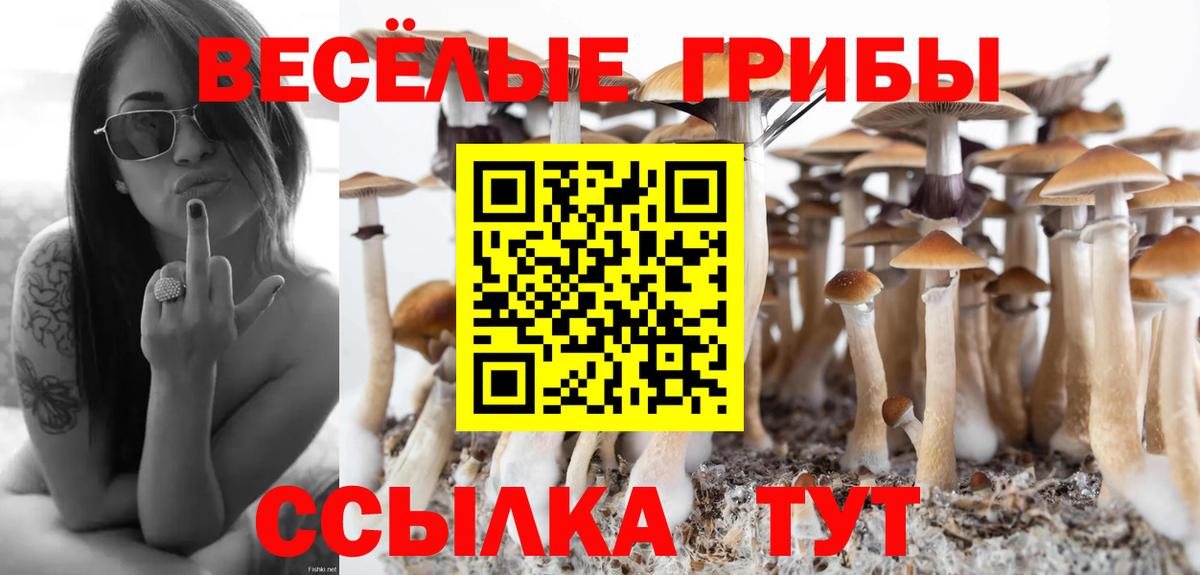 Галлюциногенные грибы ЛСД Знаменск